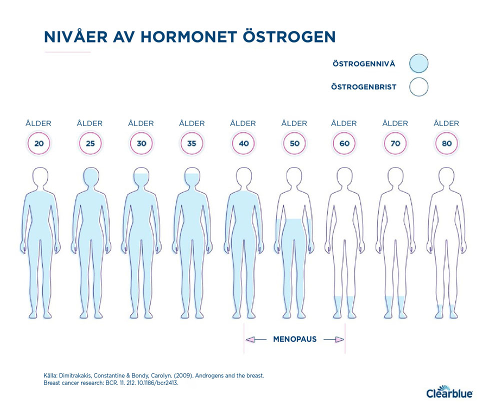 upptäck effektiva styrketräningsövningar speciellt anpassade för kvinnor i menopaus för att stärka kroppen och förbättra hälsan.